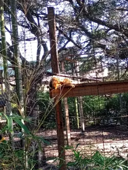 Zoo adventure 