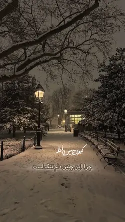 دلتنگ 