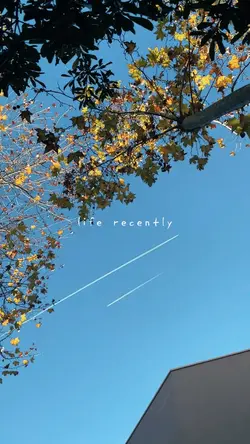 Mini Vlog