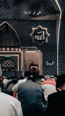 qalbi fil medina