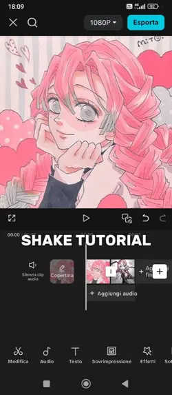 shake tutorial