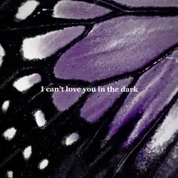 love in the dark