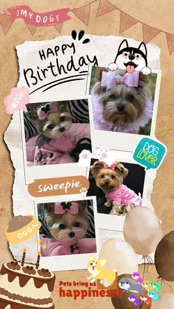 my pets birthday