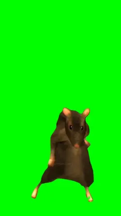 Rat Dance