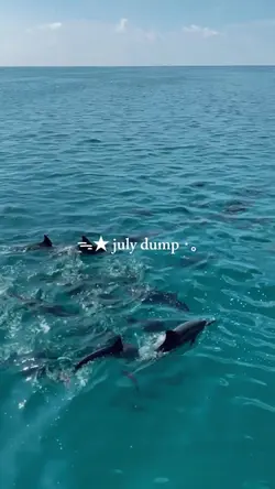 July Dump 2026 