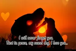 Tears In Heaven