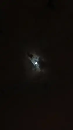 يا قمر يا عالي🫀
