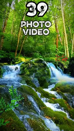 39 clip or photo