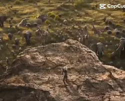 It's the circle 