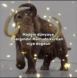 Mamudo kurban