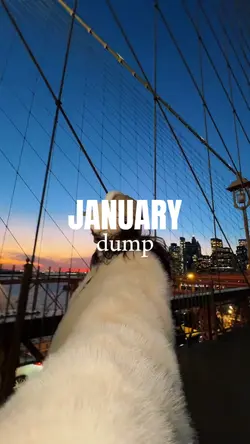 january dump 