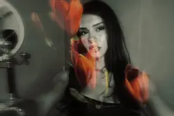 Flowers bloom