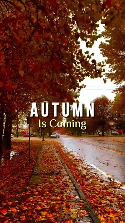autumn is coming