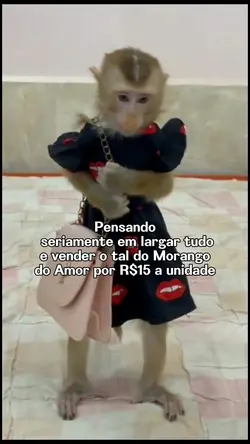 morango 