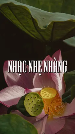 2 Ảnh nhẹ nhàng