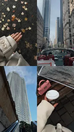 grid 4clips