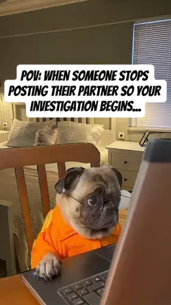 investigation begins