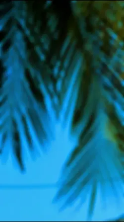 Green and blue