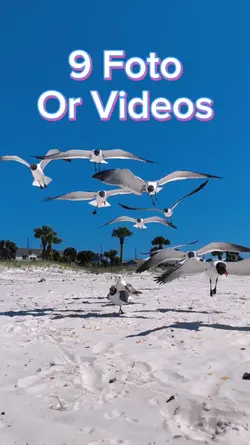 9 video slide