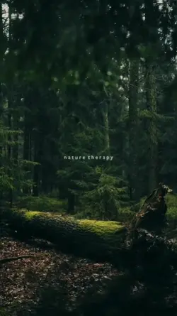 nature therapy