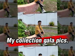 gala