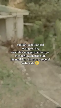 ayah pahlawanku 