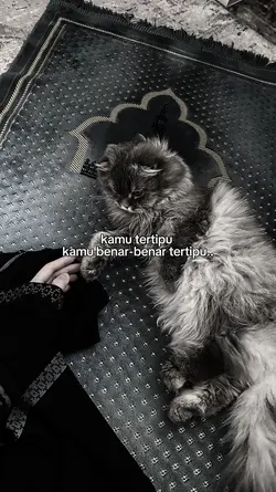 kamu tertipu !
