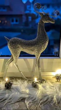 Christmas Time 