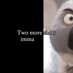 moon the koala