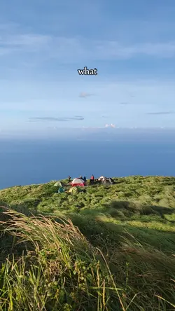 The Mountains 