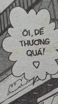 Mẫu 1 ảnh