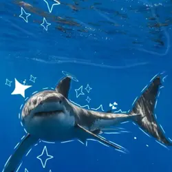 Requested Shark edit