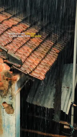 Người ta ghét cơn