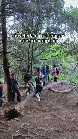 Terlalu ikut campur