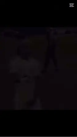 Free şablon 