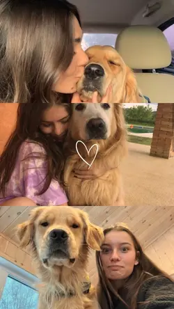 My pets