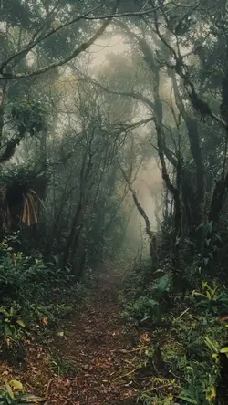 VIBES KABUT HUTAN
