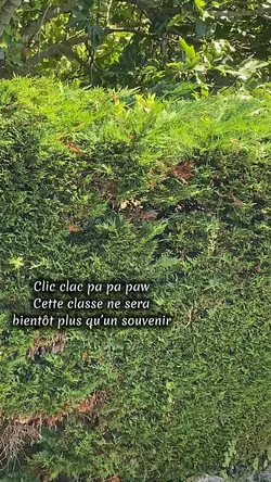 Clic clac pa pa paw 
