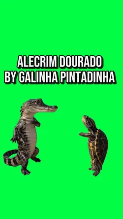 ALECRIM DOURADO MEME