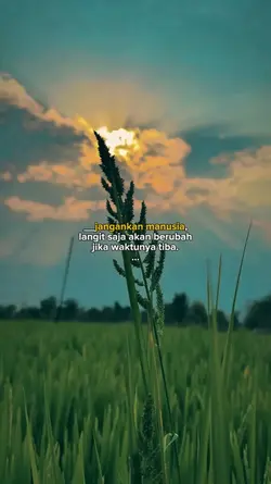 jangankan manusia