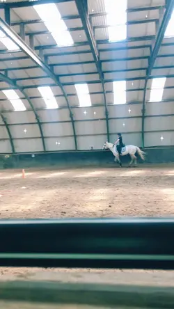 Le cheval blanc 