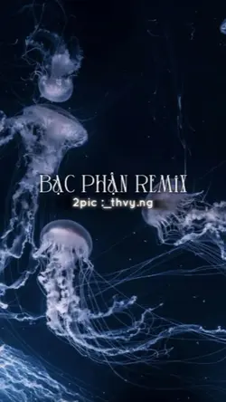 Bạc Phận Remix 