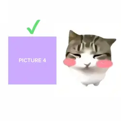 dam dam di di cat