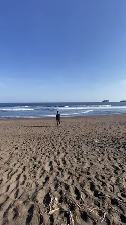Te Molla x Takutu