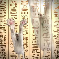 Egypt