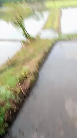 stabil+HD