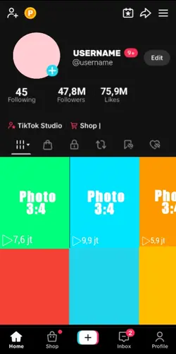 Fake profil Tiktok 