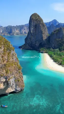 vitamin sea