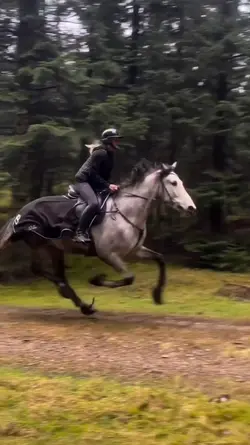 eq slowmo !!