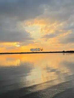 meet me at our spott